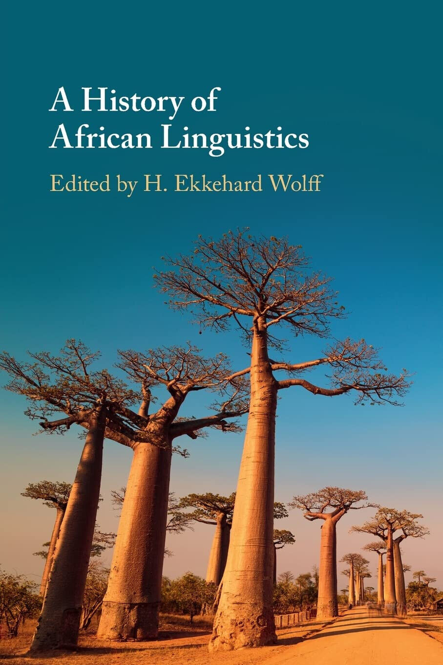 A History Of African Linguistics - H. Ekkehard Wolff - Cambridge, 2021 libro usato