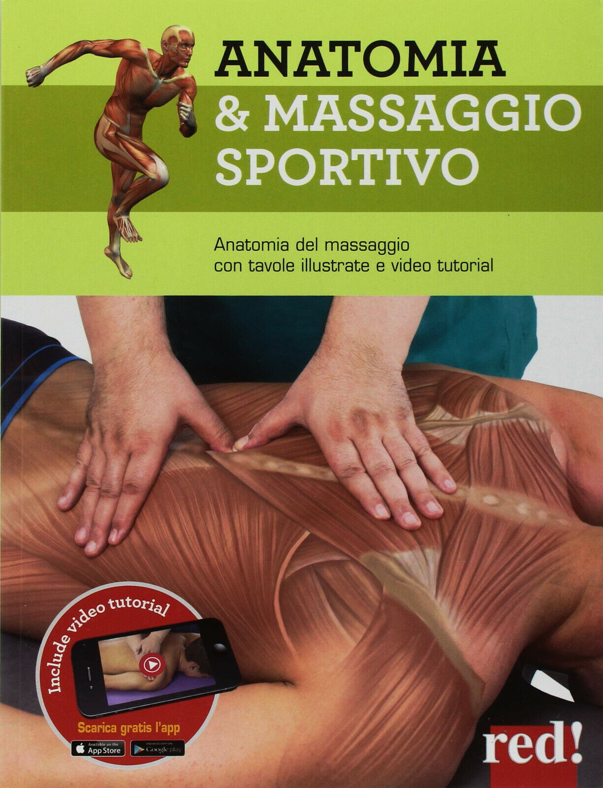 Anatomia & massaggio sportivo - Red Edizioni, 2018 libro usato