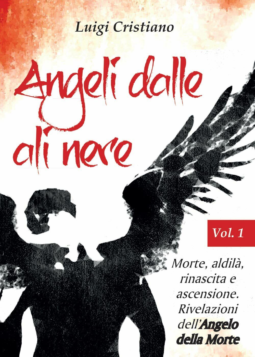 Angeli dalle ali nere. Vol.1 - Morte, aldil?, rinascita e ascensione.  libro usato