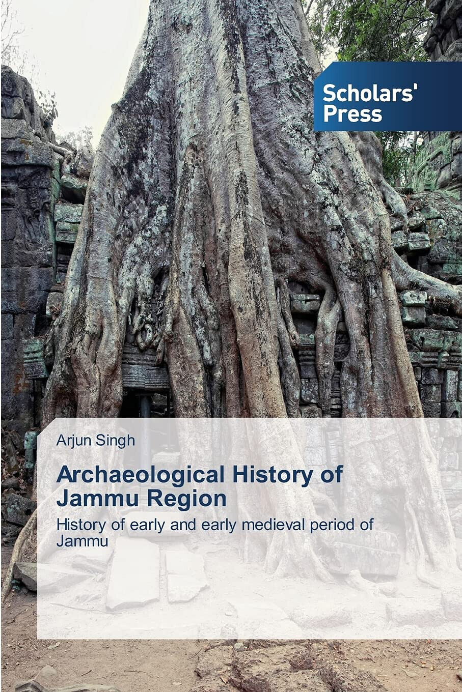 Archaeological History of Jammu Region - Arjun Singh - sps, 2014 libro usato