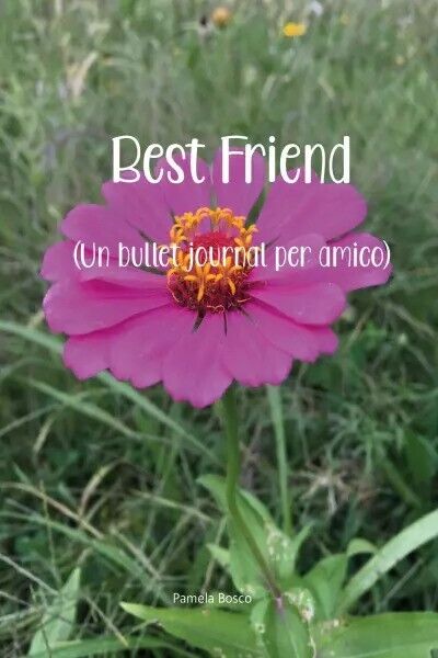 Best Friend (Un Bullet Journal per amico) di Pamela Bosco, 2023, Youcanprint libro usato