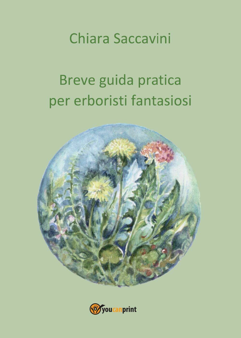 Breve guida pratica per erboristi fantasiosi di Chiara Saccavini,  2016,  Youcan libro usato