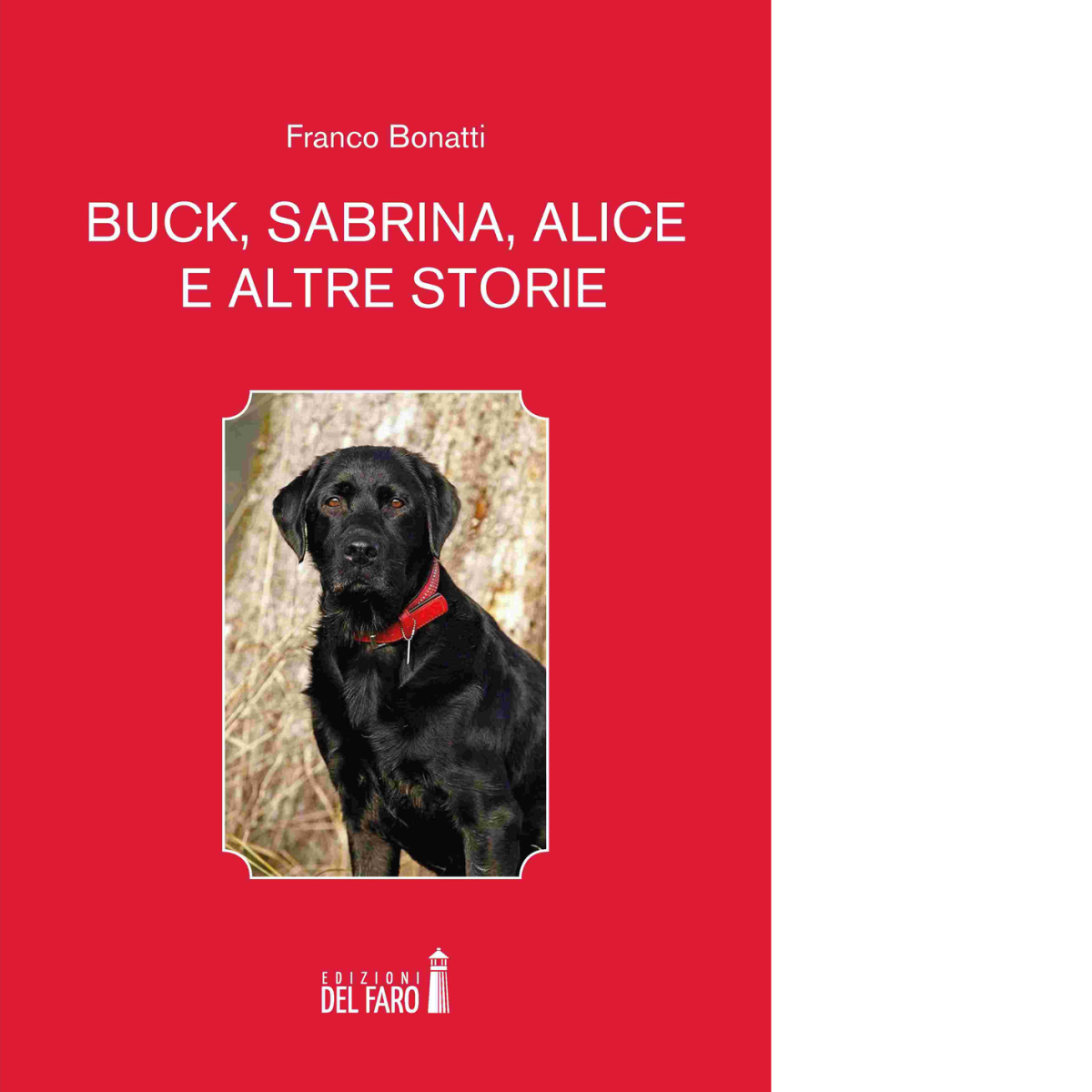 Buck, Sabrina, Alice e altre storie di Bonatti Franco - Del Faro, 2019 libro usato