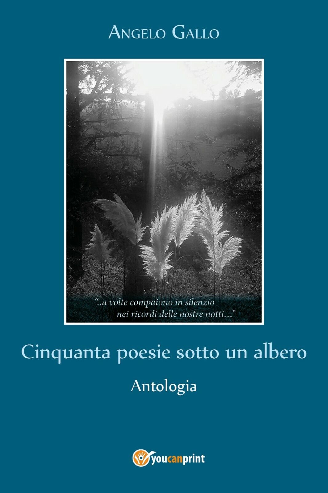 Cinquanta poesie sotto un albero di Angelo Gallo,  2017,  Youcanprint libro usato