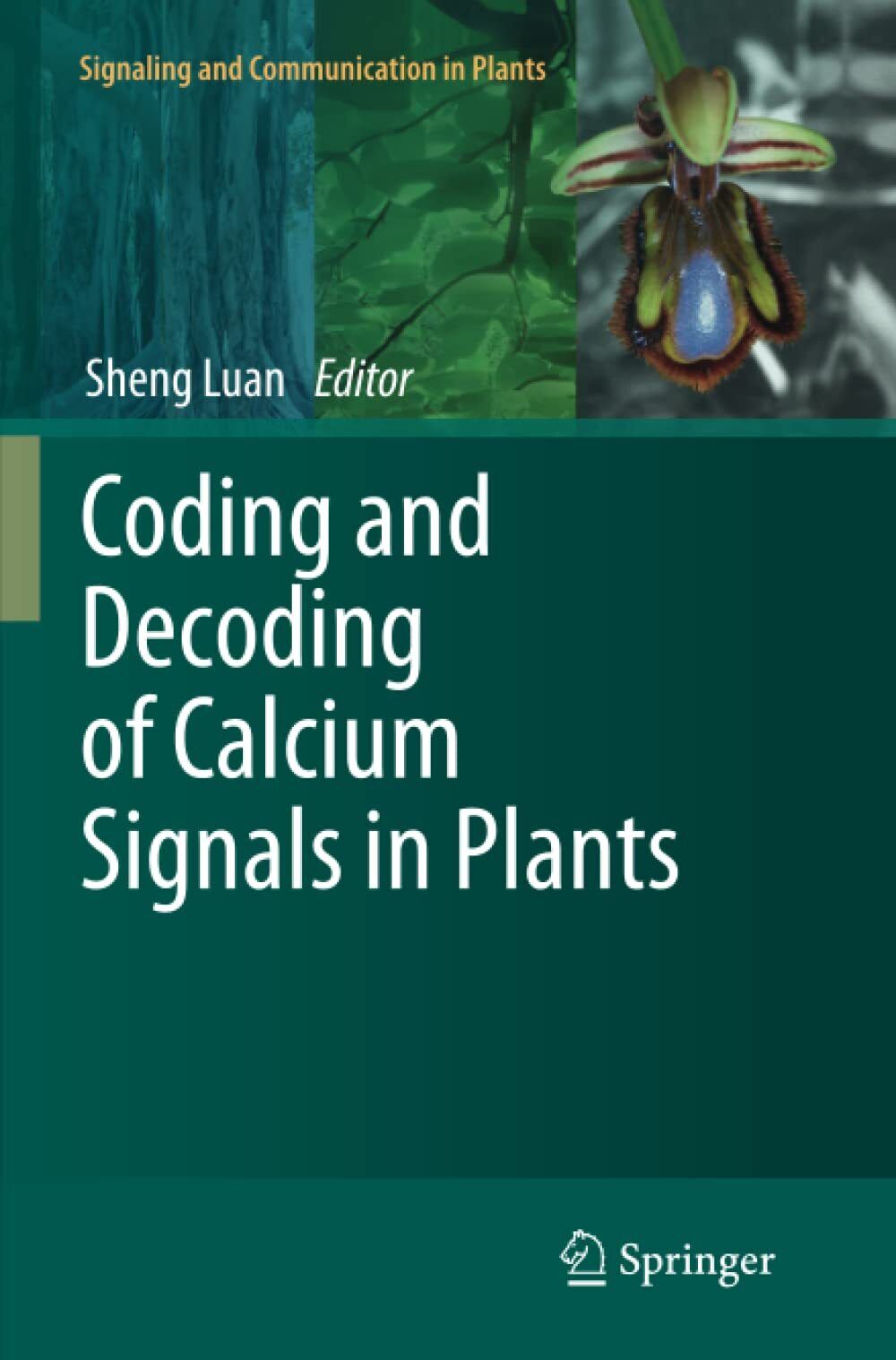 Coding and Decoding of Calcium Signals in Plants - Sheng Luan - Springer, 2013 libro usato