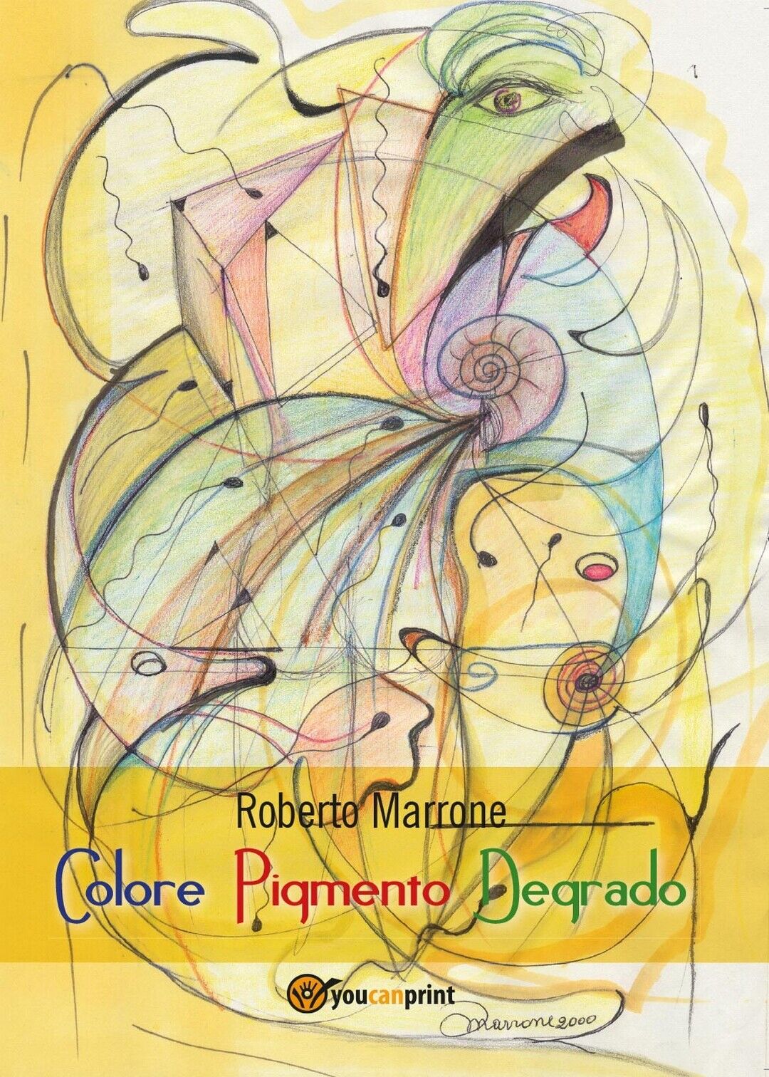 Colore Pigmento Degrado  di Roberto Marrone,  2017,  Youcanprint libro usato