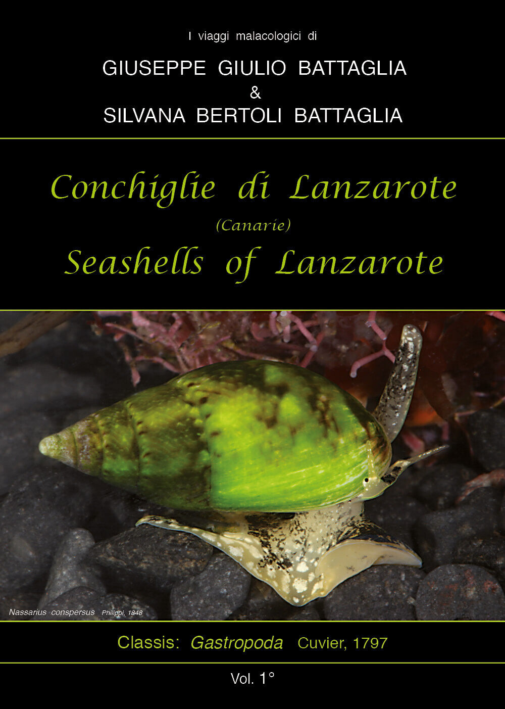 Conchiglie di Lanzarote-Seashells of Lanzarote. Ediz. bilingue di Giuseppe Giuli libro usato
