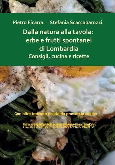 Dalla natura alla tavola: erbe e frutti spontanei di Lombardia. Consigli, cucina libro usato