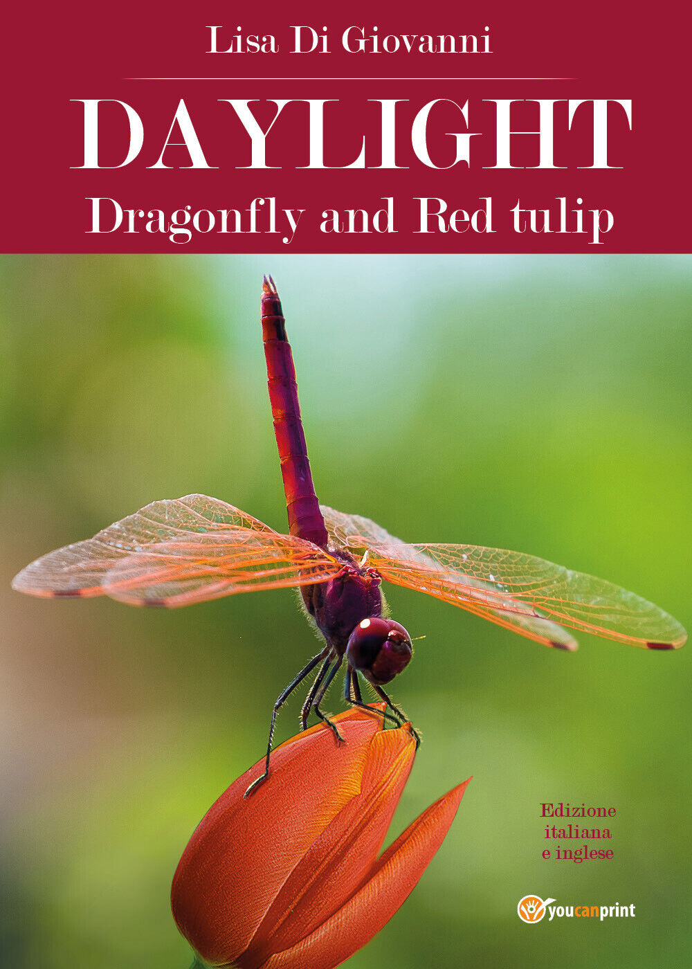 Daylight. Dragonfly and Red tulip. Ediz. italiana di Lisa Di Giovanni,  2018,  Y libro usato