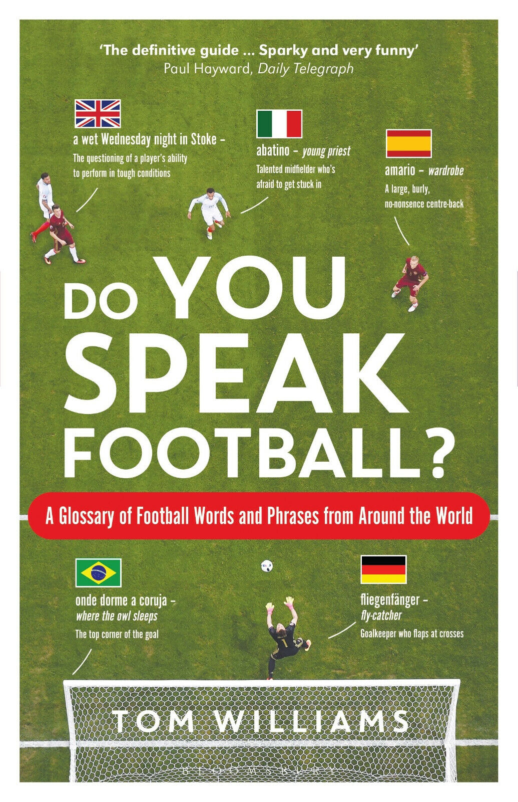 Do You Speak FootbalL' - Tom Williams - Bloomsbury Publishing PLC, 2018 libro usato