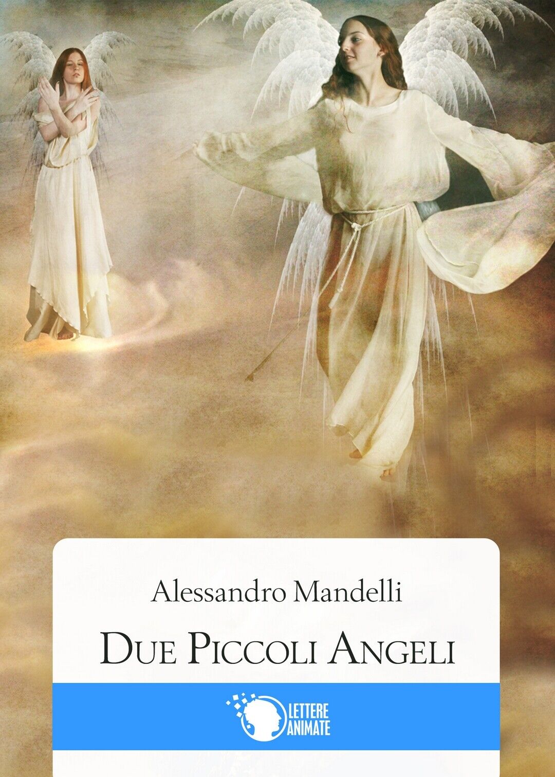 Due piccoli Angeli  di Alessandro Mandelli,  2016,  Lettere Animate Editore libro usato