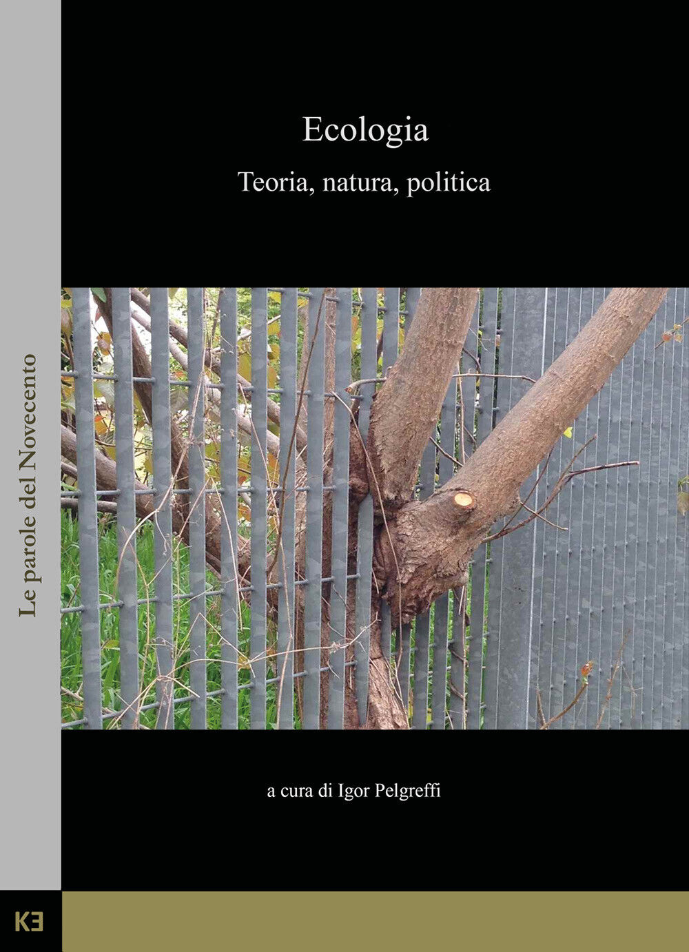 Ecologia. Teoria, natura, politica di Igor Pelgreffi,  2019,  Kajak Edizioni libro usato