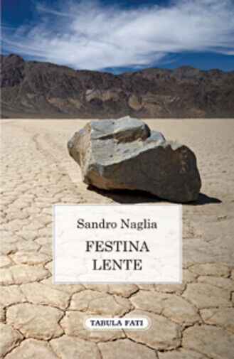Festina lente di Sandro Naglia,  2011,  Tabula Fati libro usato