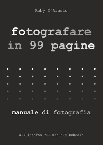 Fotografare in 99 pagine. Manuale di Fotografia di Roby d'Alesio,  2022,  Youcan libro usato