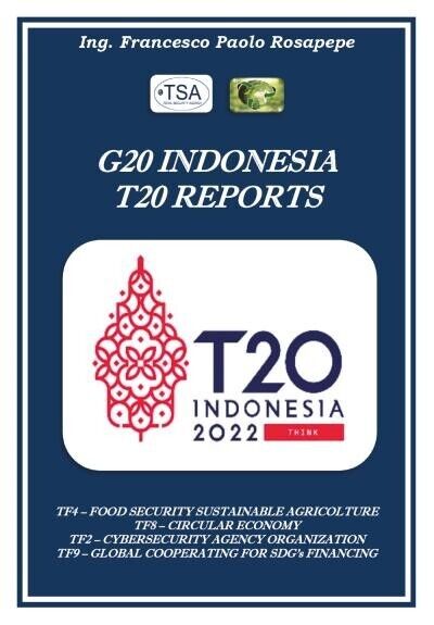 G20 Indonesia T20 Reports di Francesco Paolo Rosapepe, 2022, Youcanprint libro usato
