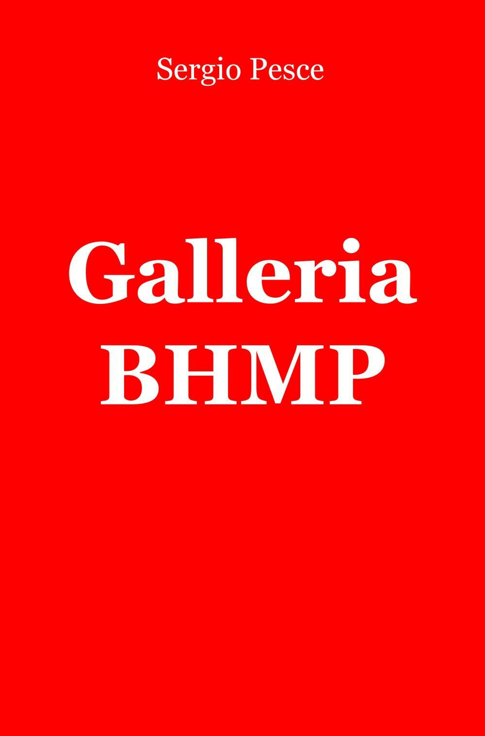 Galleria BHMP - Sergio Pesce - ilmiolibro, 2015 libro usato