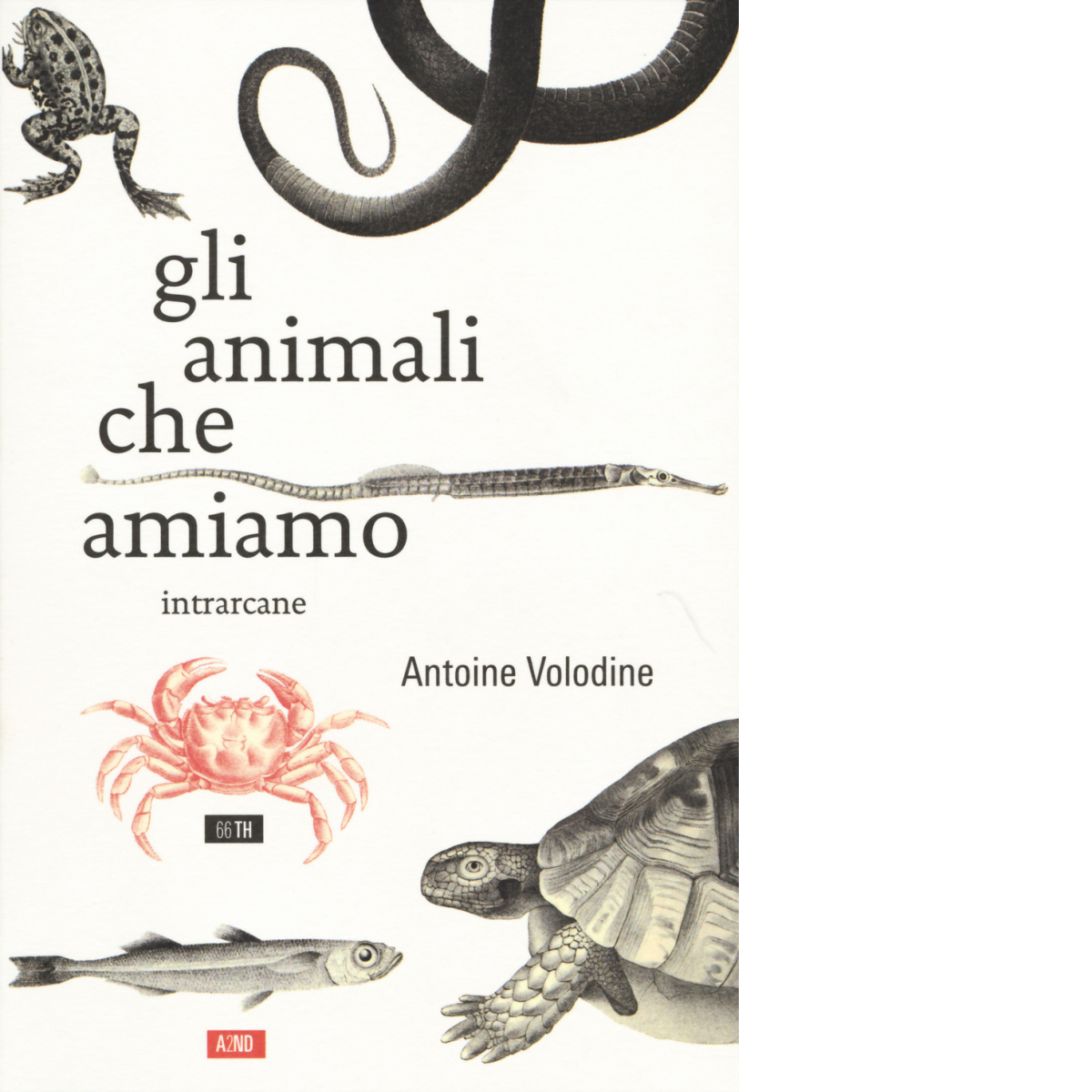 Gli animali che amiamo di Antoine Volodine,  2017,  66th And 2nd libro usato