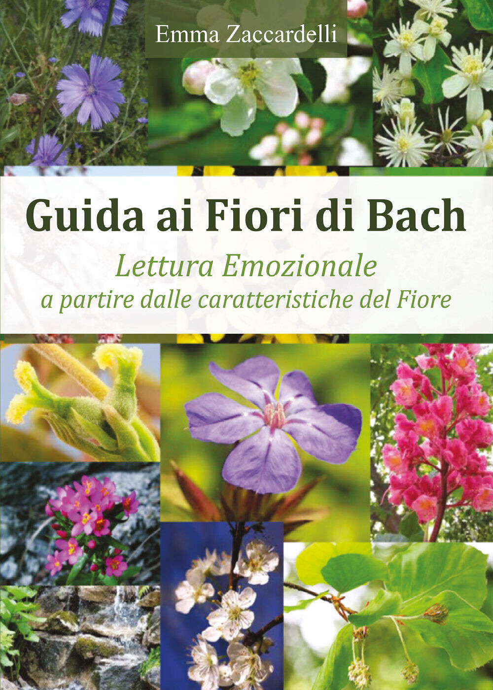 Guida ai fiori di Bach. Lettura emozionale a partire dalle caratteristiche del f libro usato