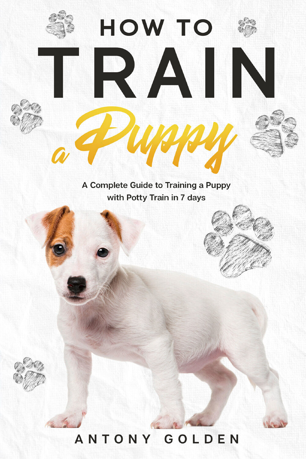 How to Train a Puppy di Antony Golden,  2021,  Youcanprint libro usato