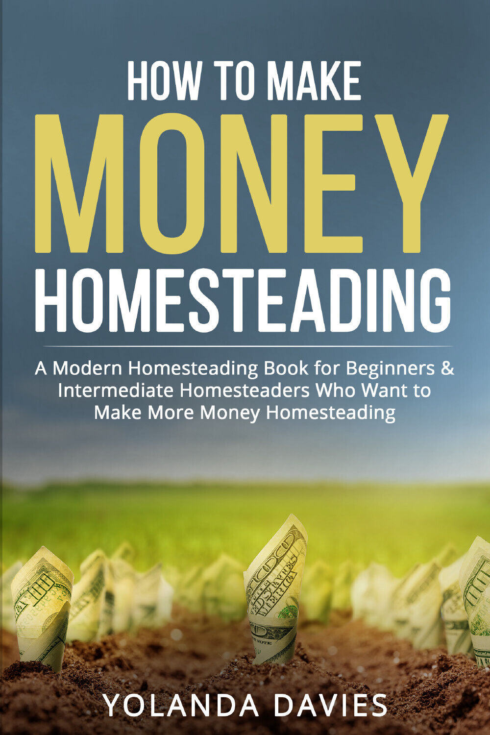 How to make money homesteading di Yolanda Davies,  2021,  Youcanprint libro usato