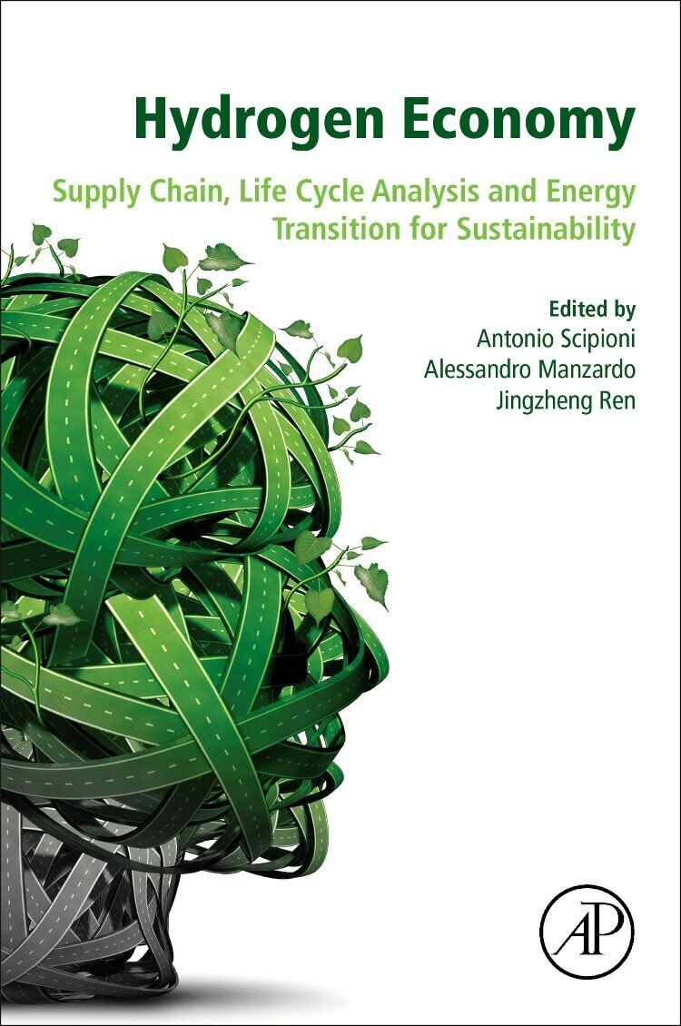 Hydrogen Economy - Antonio Scipioni - Academic, 2017 libro usato