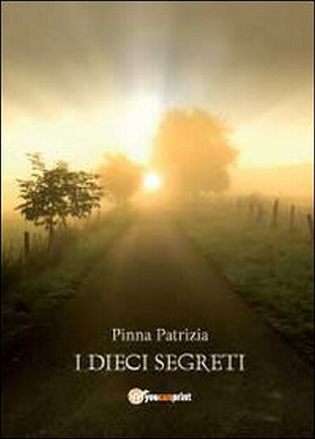 I dieci segreti  di Patrizia Pinna,  2012,  Youcanprint libro usato