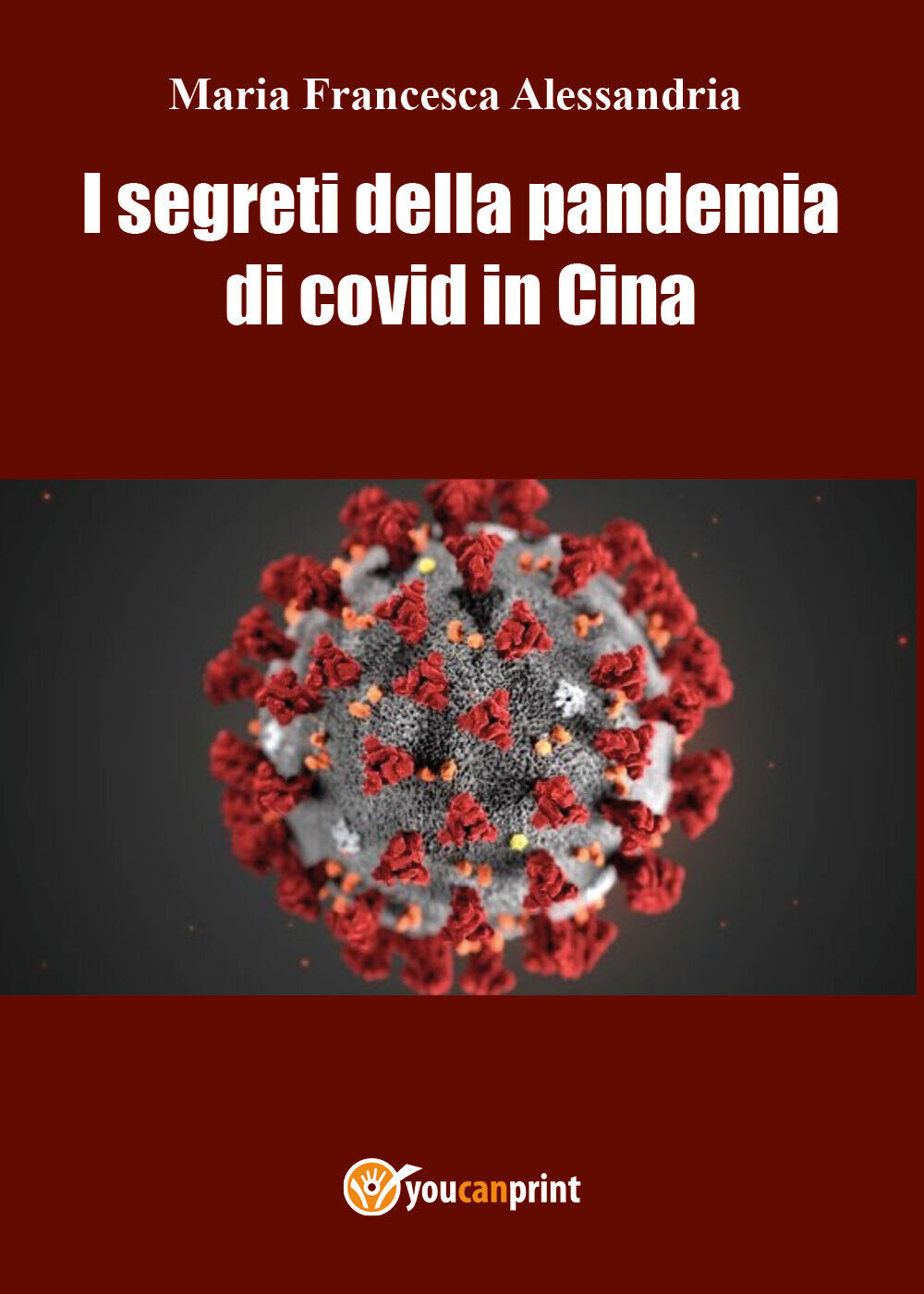 I segreti della pandemia di co vid in cina di Maria Francesca Alessandria,  2022 libro usato