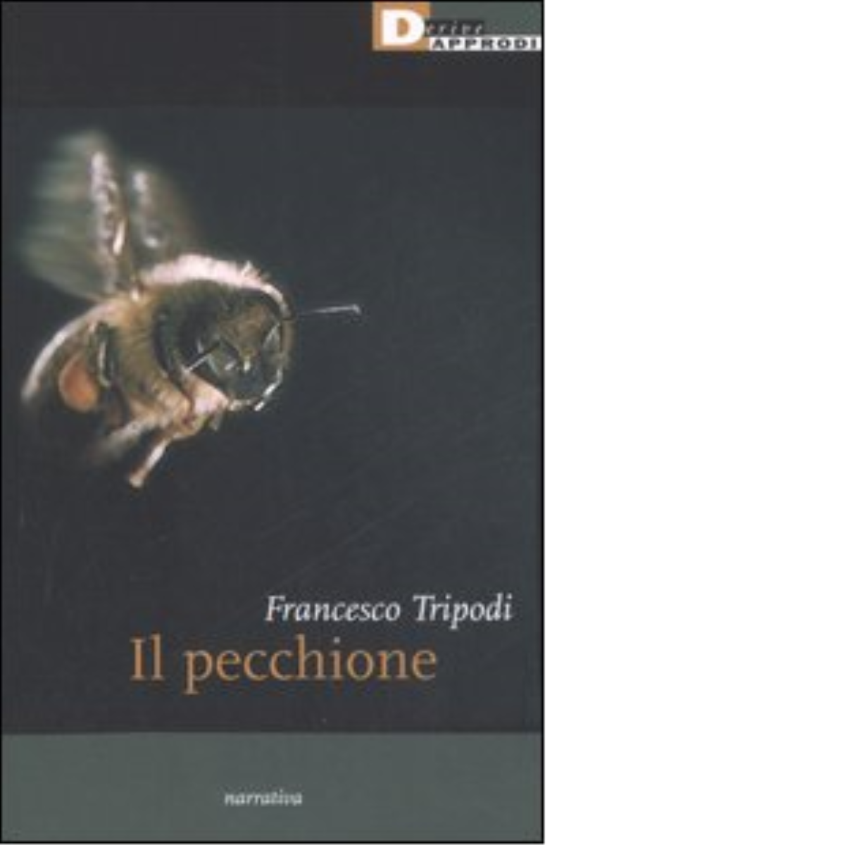 IL PECCHIONE di FRANCESCO TRIPODI - DeriveApprodi editore, 2006 libro usato