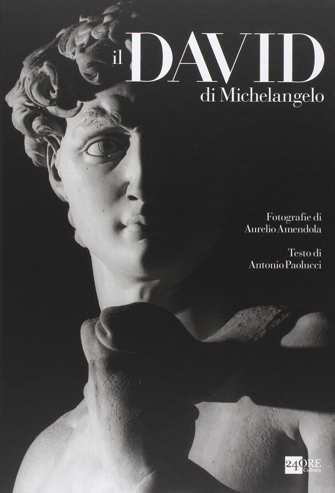 Il David di Michelangelo - Antonio Paolucci, Aurelio Amendola - 2014 libro usato