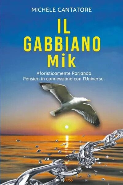 Il Gabbiano Mik di Michele Cantatore, 2023, Bookness libro usato
