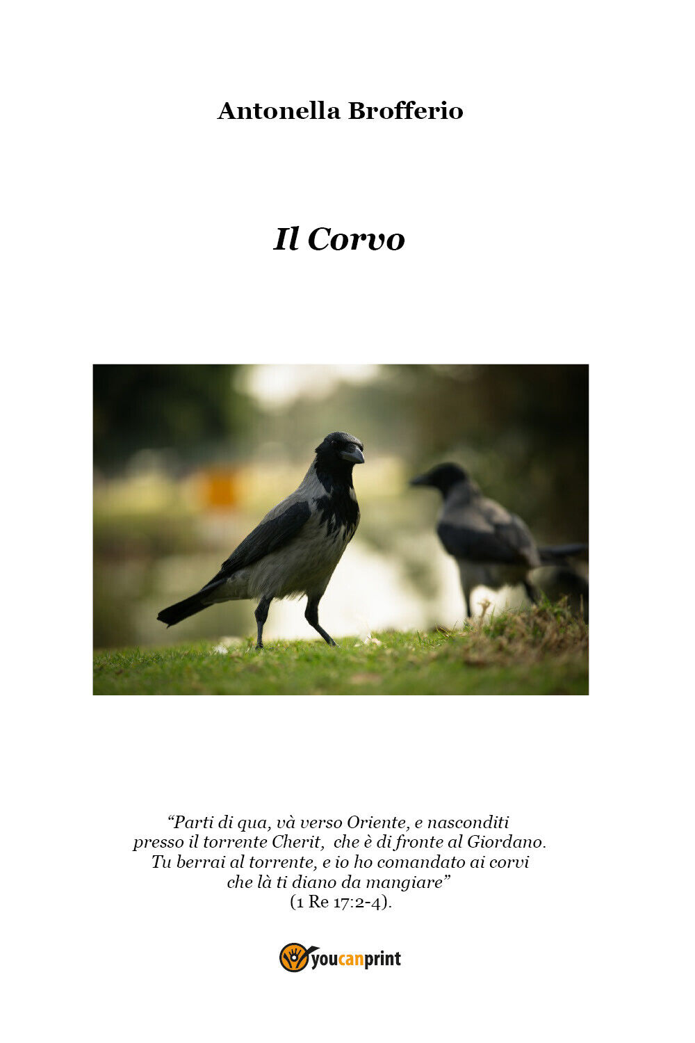 Il corvo di Antonella Brofferio,  2021,  Youcanprint libro usato