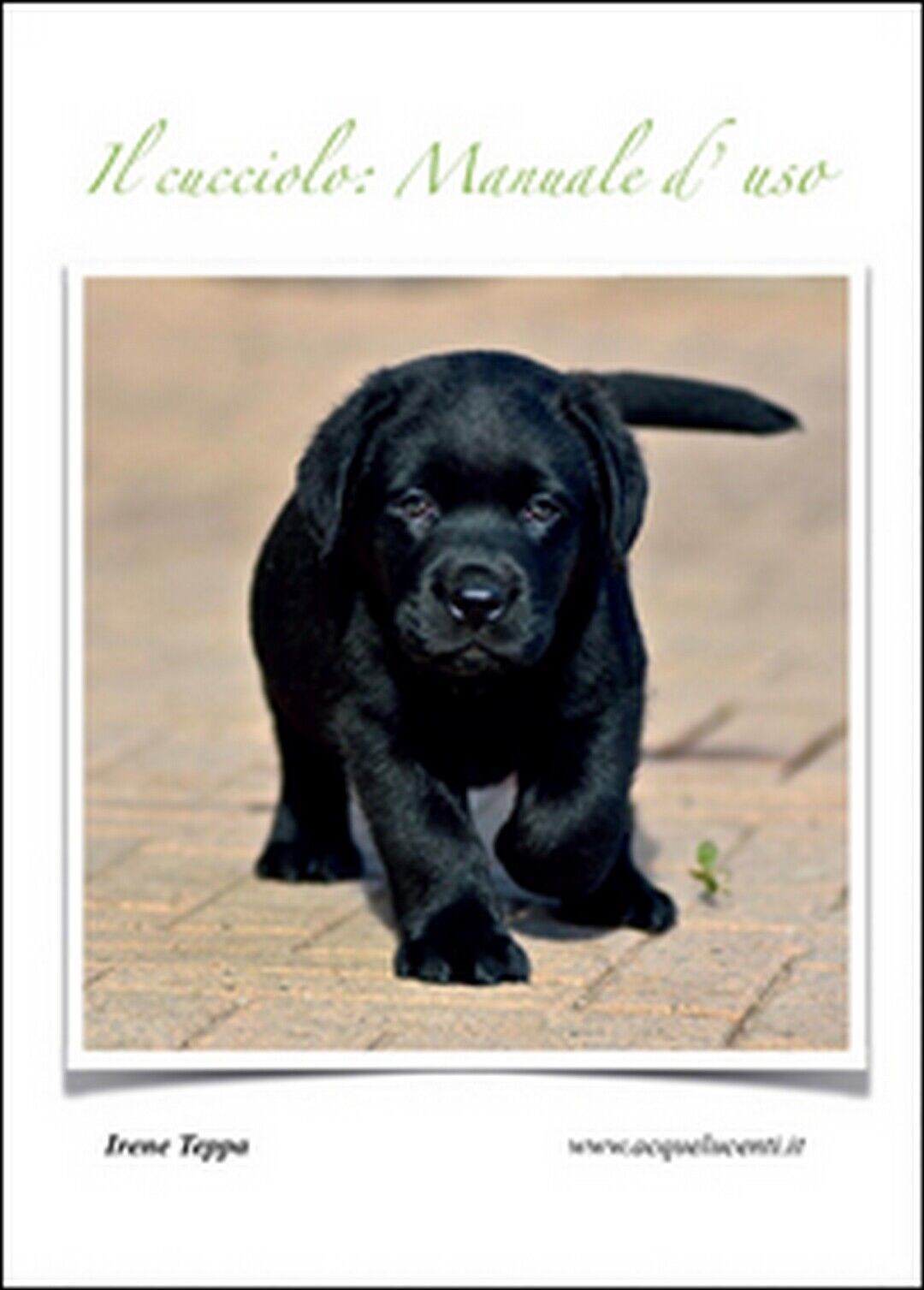 Il cucciolo: manuale d'uso  di Irene Teppa,  2015,  Youcanprint libro usato