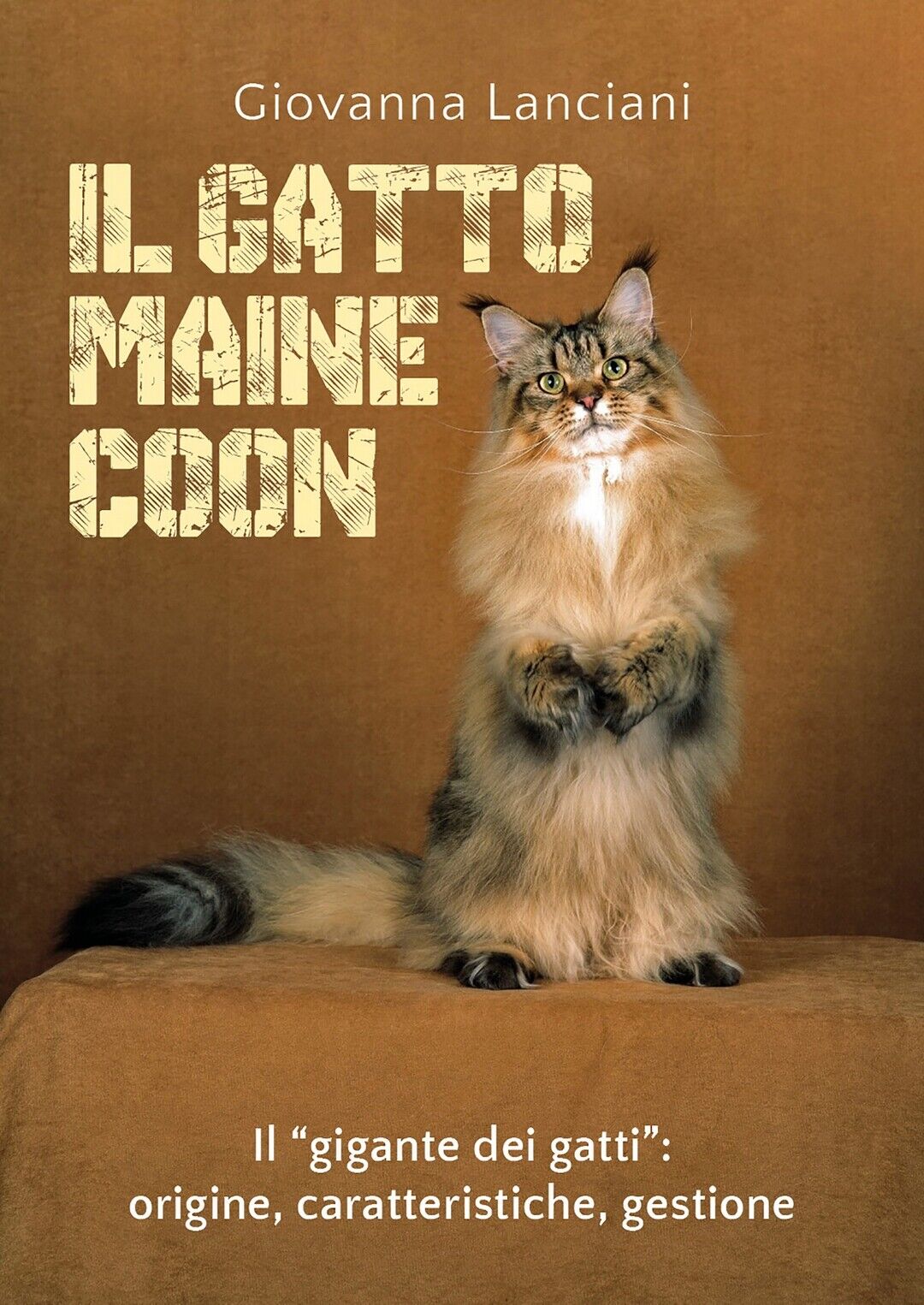 Il gatto Maine Coon  di Giovanna Lanciani,  2020,  Youcanprint libro usato