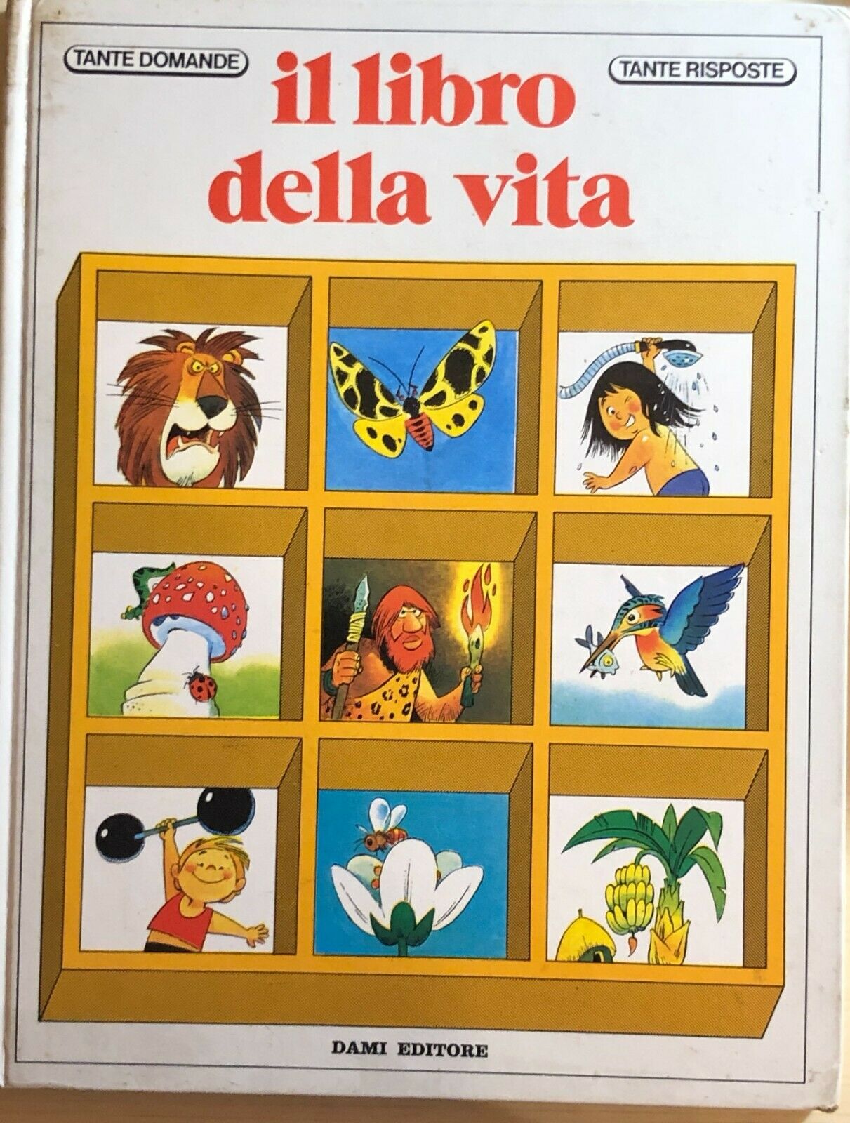Il libro della vita di Aa.vv., 1988, Dami Editore libro usato