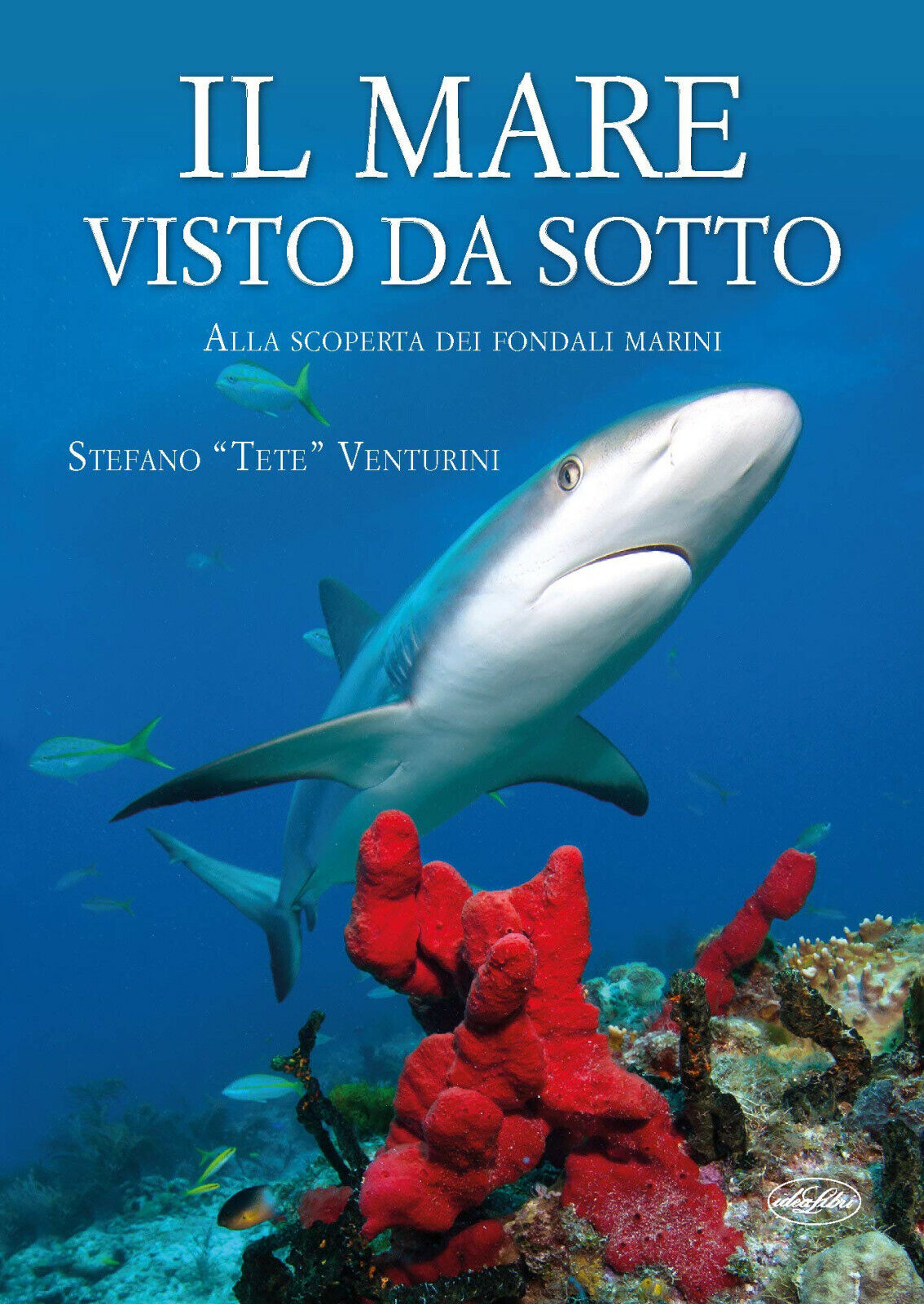 Il mare visto da sotto - Stefano Tete Venturini - Idea libri, 2019 libro usato