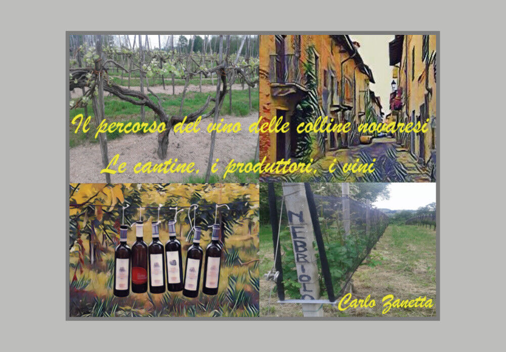 Il percorso del vino delle colline novaresi di Carlo Zanetta,  2021,  Youcanprin libro usato