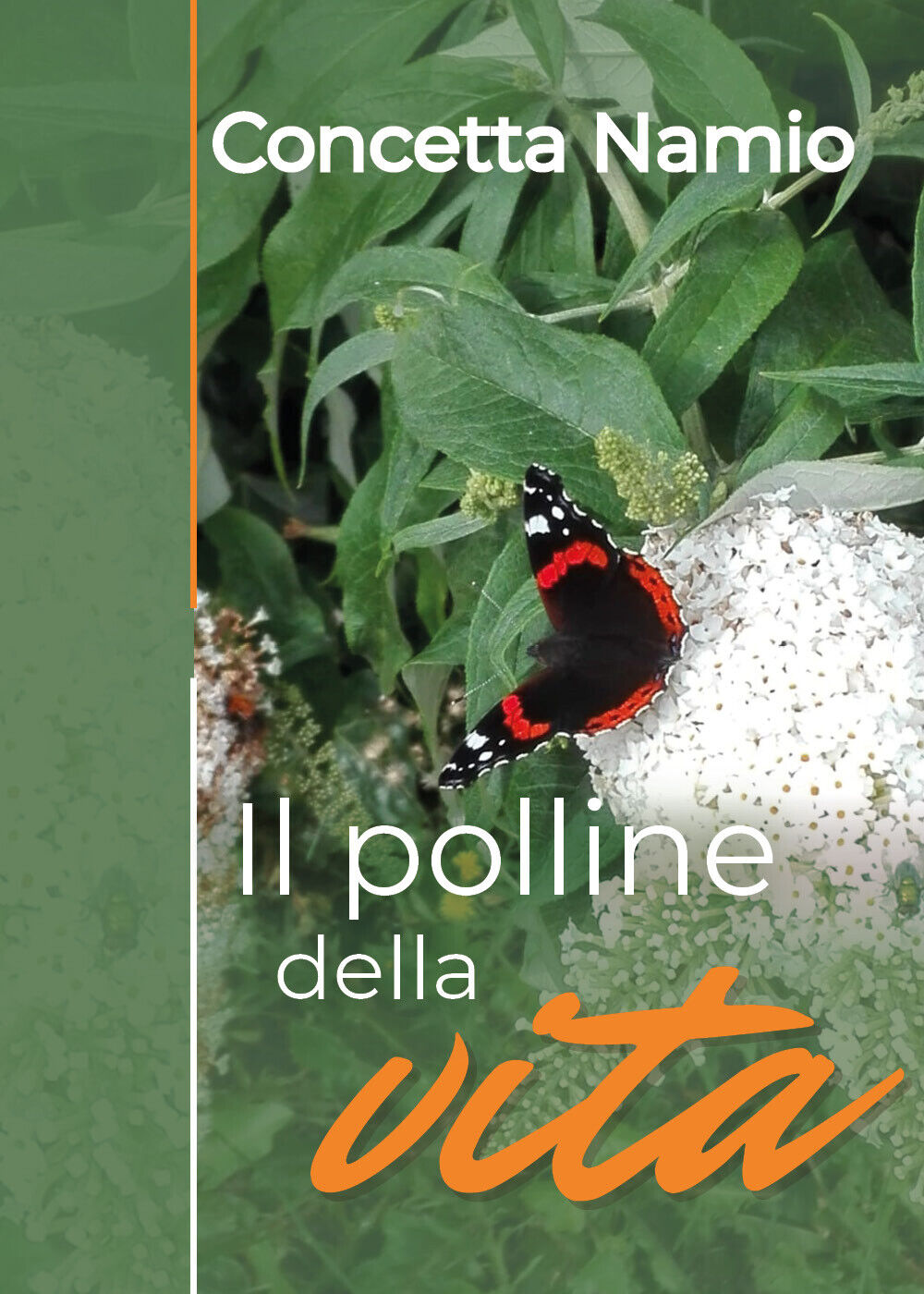 Il polline della vita di Concetta Namio,  2019,  Youcanprint libro usato