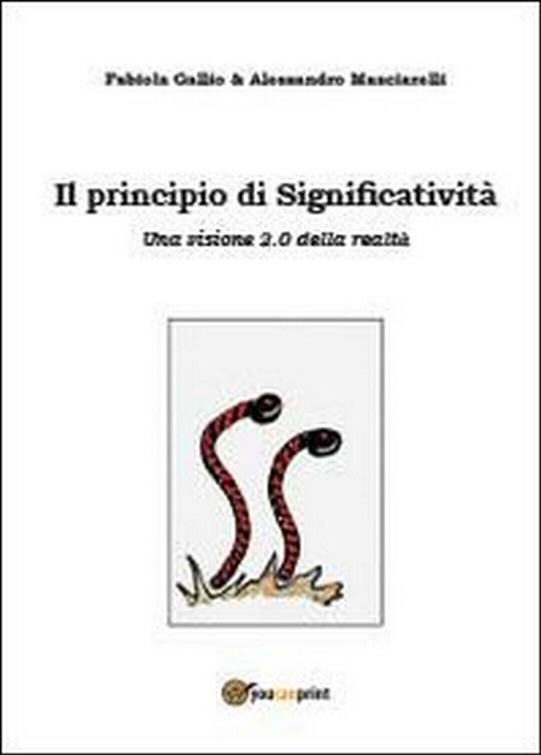 Il principio di significativit?, Fabiola Gallio, Alessandro Masciarelli (2013) libro usato
