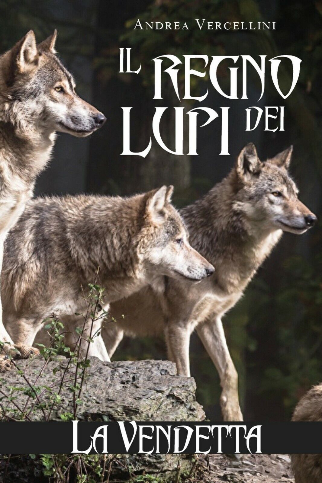 Il regno dei lupi. La vendetta  di Andrea Vercellini,  2019,  Youcanprint libro usato