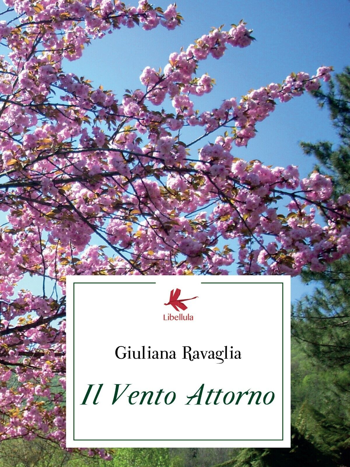 Il vento attorno di Giuliana Ravaglia,  2016,  Libellula Edizioni libro usato