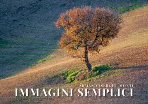 Immagini semplici. Paesaggi acquei e terrestri di Armandosergio Monti, 2023,  libro usato