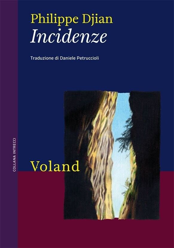 Incidenze di Philippe Djian, 2011-01, Voland libro usato