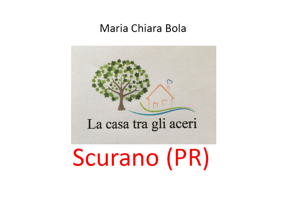 LA CASA TRA GLI ACERI - Scurano (PR) - Maria Chiara Bola,  2020,  Youcanprint libro usato