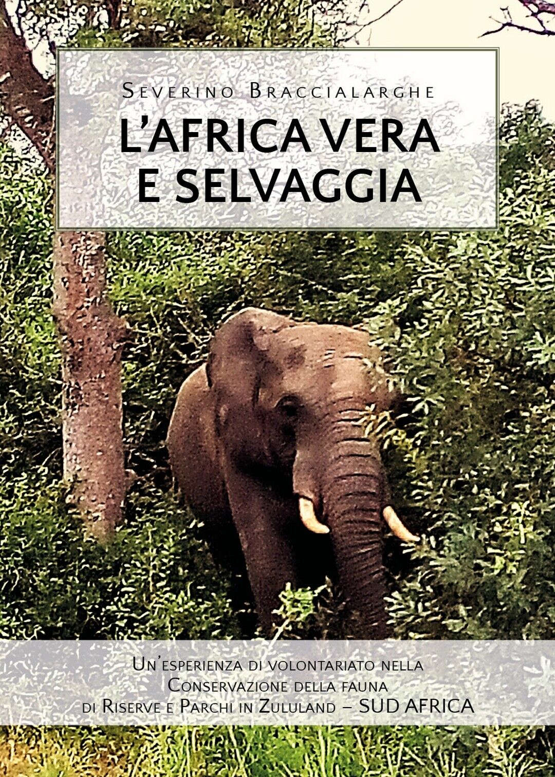 L'Africa vera e selvaggia  di Severino Braccialarghe,  2019,  Youcanprint libro usato
