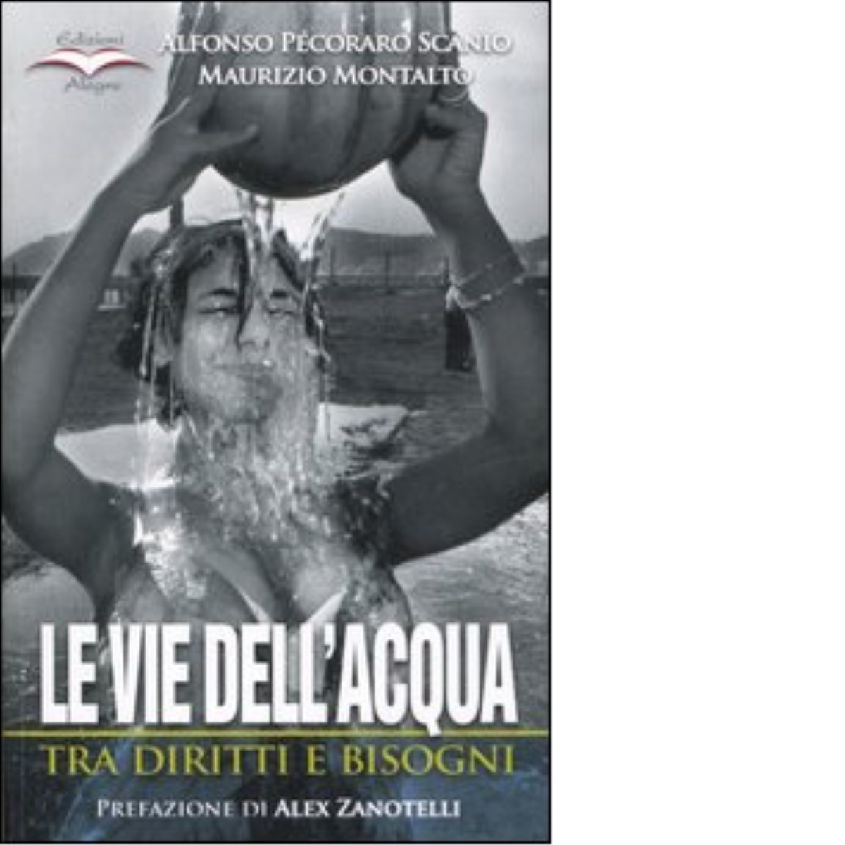 LE VIE DELL'ACQUA. TRA DIRITTI E BISOGNI di AA.VV. - edizioni alegre,2005 libro usato