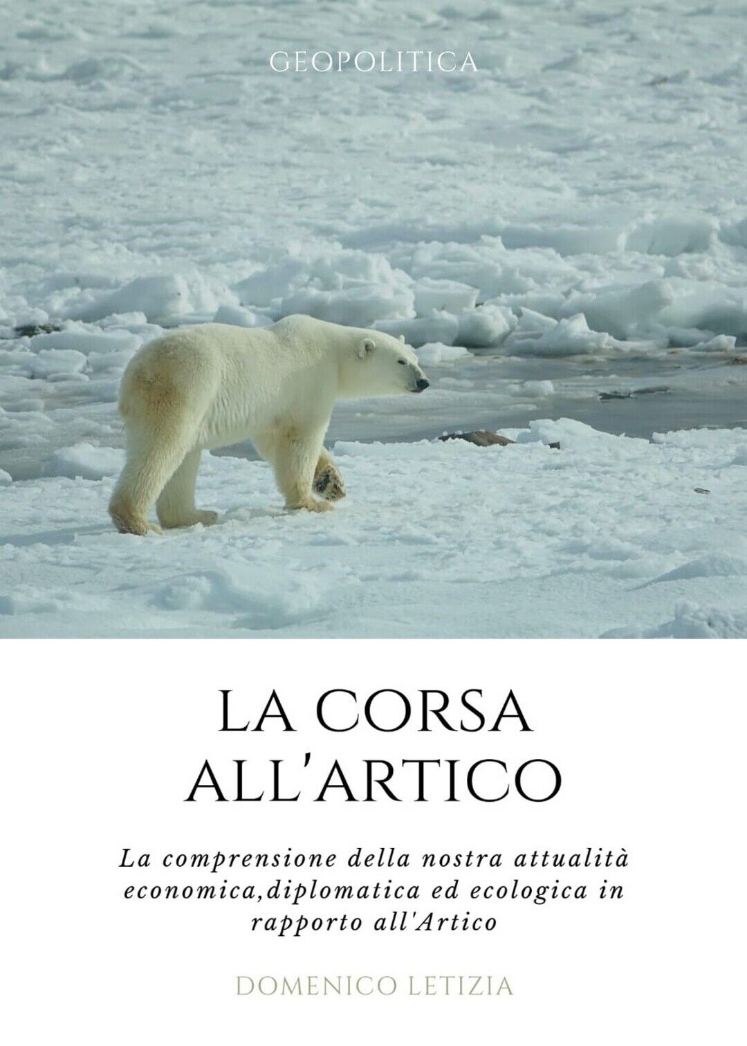 La Corsa all'Artico. La comprensione della nostra attualit? economica, diplomat. libro usato