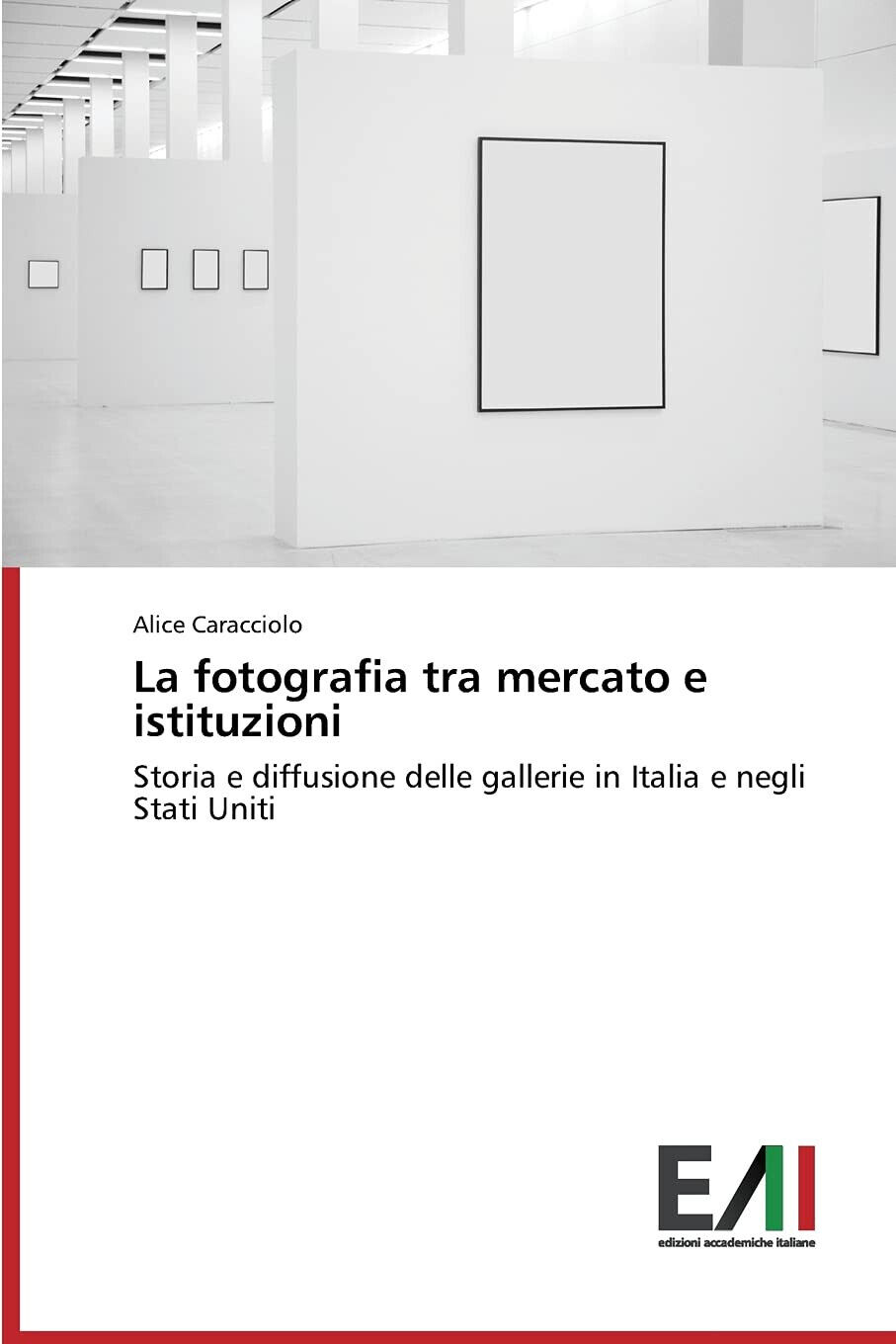 La fotografia tra mercato e istituzioni - Alice Caracciolo - 2014 libro usato