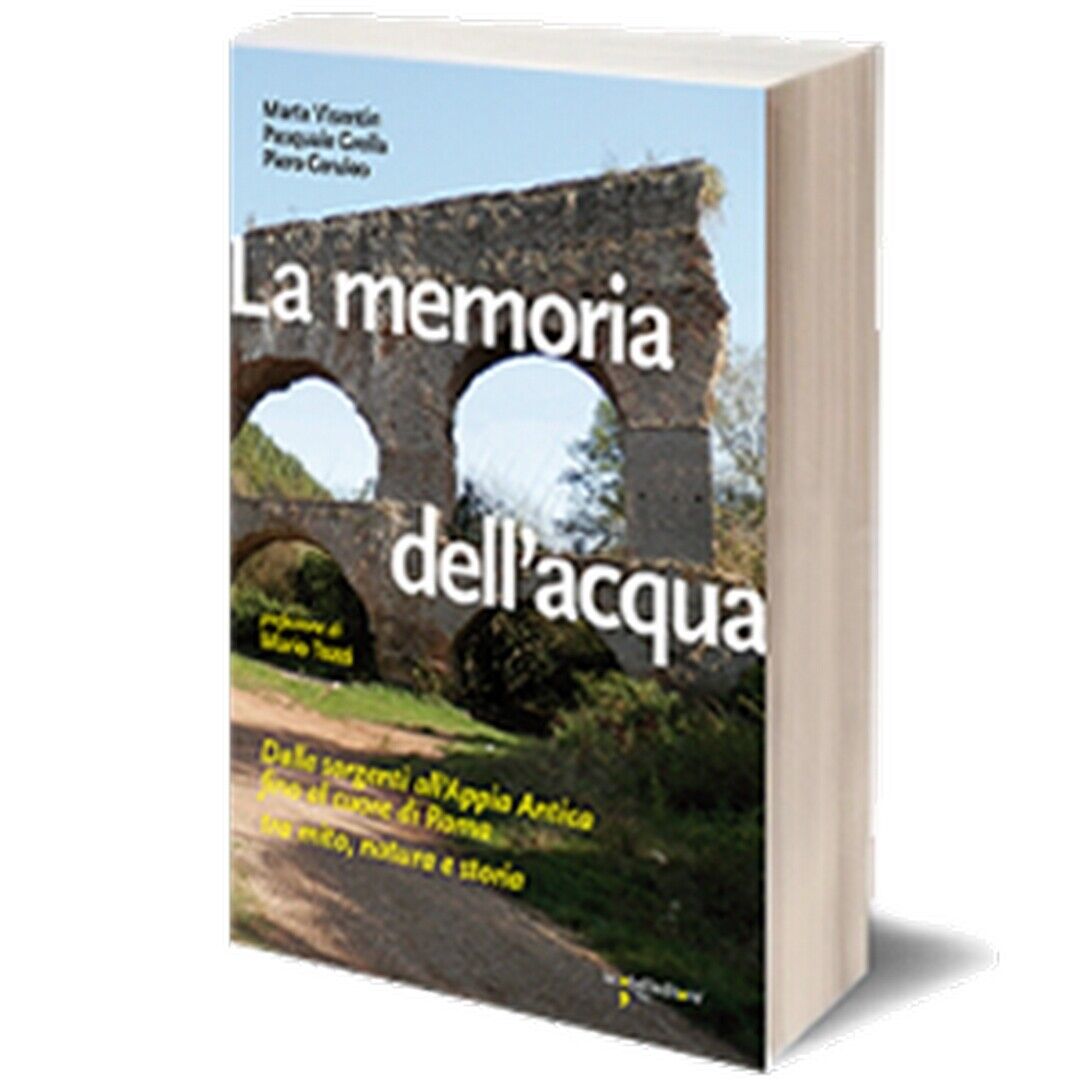 La memoria delL'acqua  di Marta Visentin, Pasquale Grella, Piero Ceruleo,  2014 libro usato