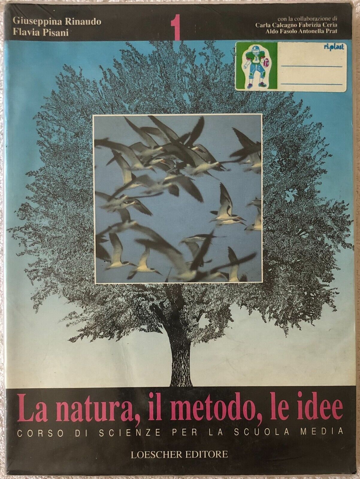 La natura, il metodo, le idee 1. Corso di scienze per la Scuola media di Giusepp libro usato