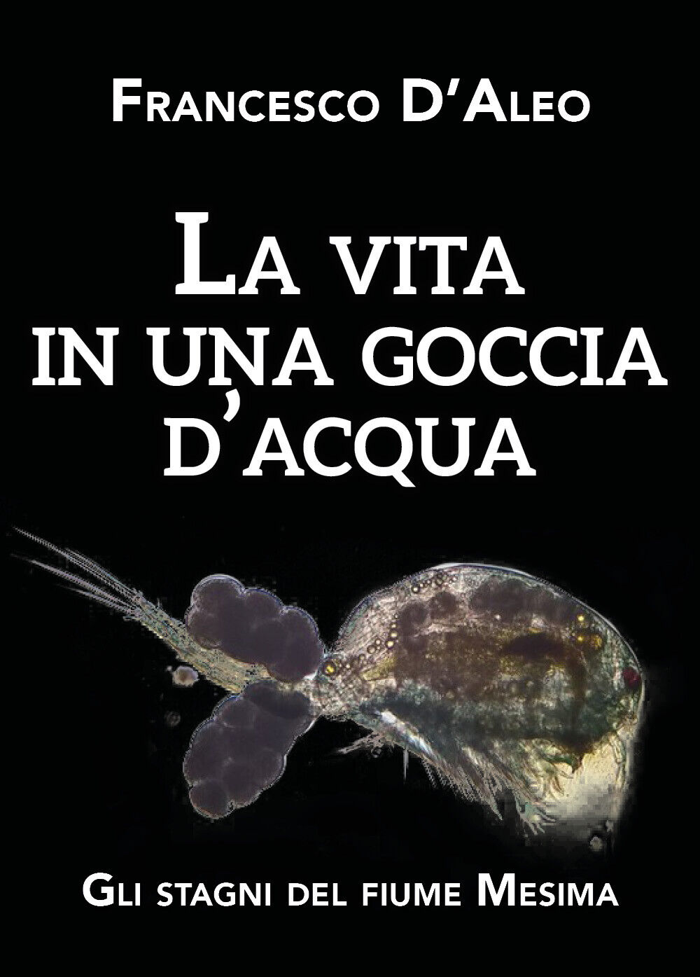 La vita in una goccia d'acqua - Francesco d'Aleo,  2020,  Youcanprint libro usato